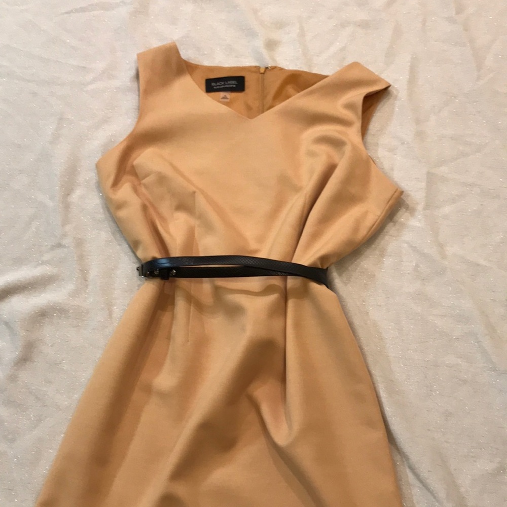 Black Label by Evan-Picone dress
